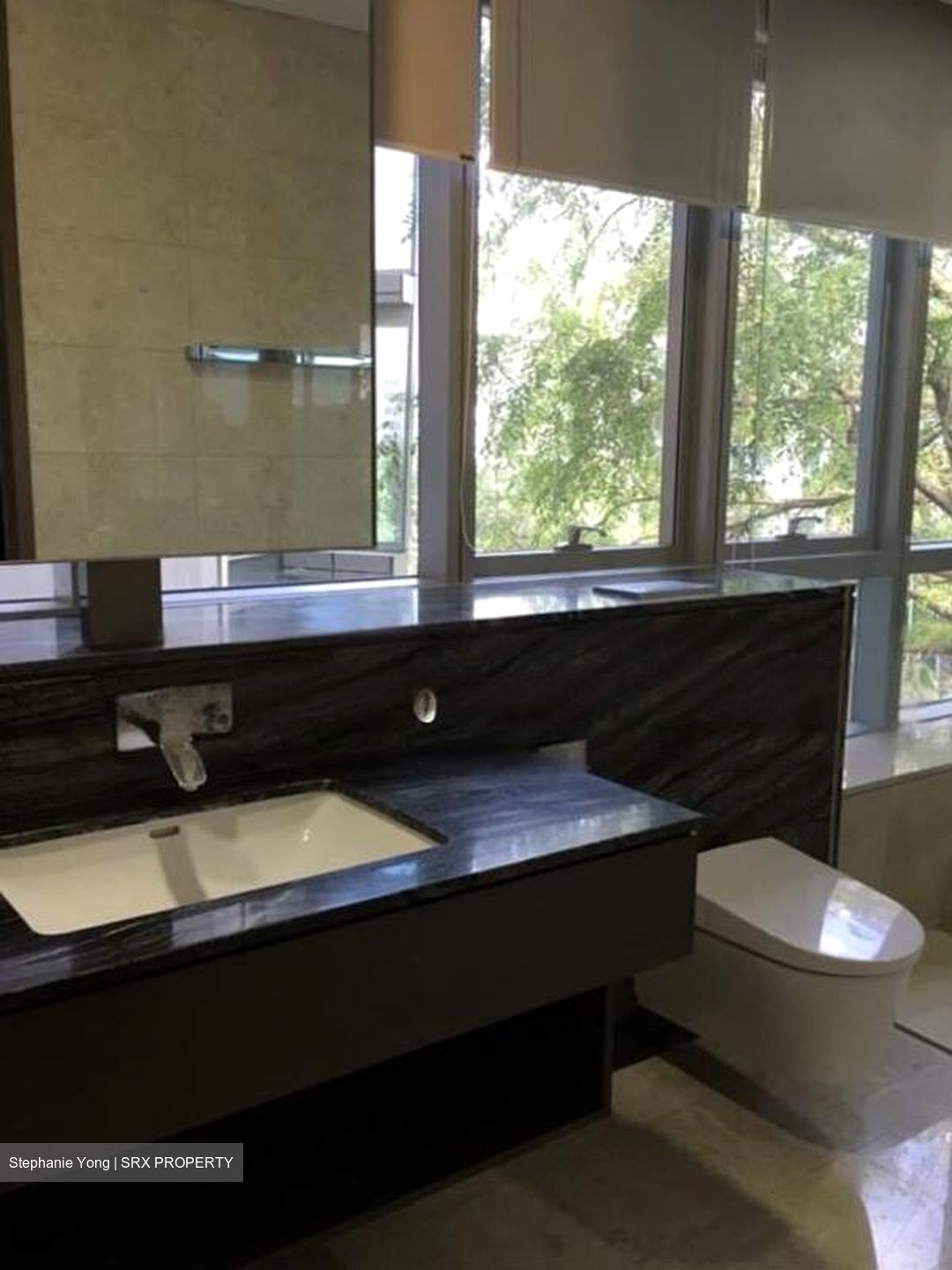 Gramercy Park (D10), Condominium #469739571